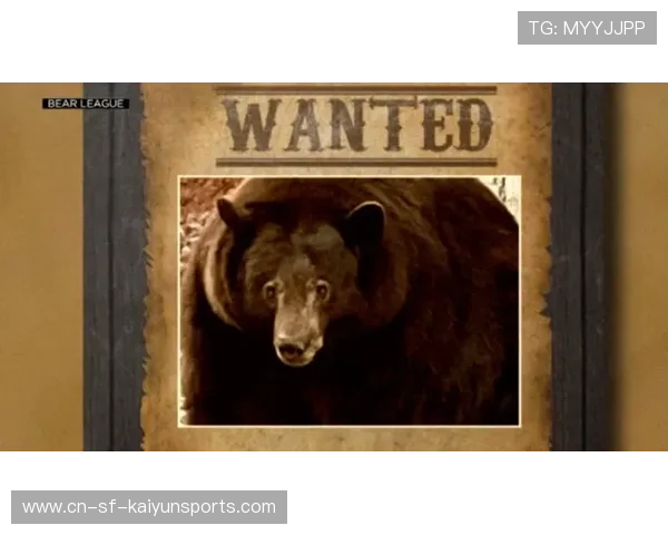 黑熊袭城警示录：人类边界意识该醒了，黑熊袭击人类视频